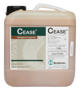 CEASE