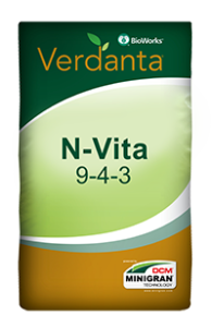 N_Vita_Bagweb Verdanta N-Vita